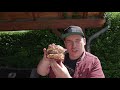 stauferico burger ein saftiger knaller im laugenbun