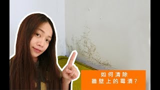 【居家】如何清除牆壁的霉漬！？