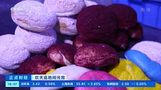 [正点财经]欢天喜地闹元宵 上海：北极熊吃大号专属元宵|CCTV财经