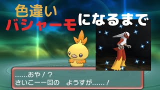 【色違い】色違いアチャモが色違いバシャーモになるまでの軌跡| ポケモン　オメガルビー｜Journey to search for shiny ｜Pokemon Omega Ruby |