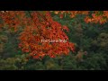 【日曜深夜名曲 vol.162】愛宕山の紅葉 京都府京都市 フランシーヌの場合 加藤登紀子