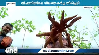 കഴിഞ്ഞ ബജറ്റിലെ പ്രഖ്യാപനങ്ങള്‍ എങ്ങുമെത്തിയില്ല; കപ്പ കര്‍ഷകര്‍ ദുരിതത്തില്‍