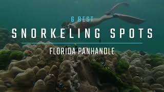 6 Best Places to Go Snorkeling in Florida Panhandle | Destin, Santa Rosa, Panama City, Devil's Den +