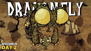 How to rush Dragonfly day 2 as New Wurt (Unseeded, no cheese) - Don't Starve Together | DST