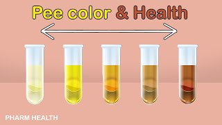 What Your Urine Color Reveals About Your Health | Urinary System