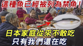 警惕！這種魚已經被列為禁魚！日本家庭從來不敢吃，只有我們還在吃！ |三味書屋