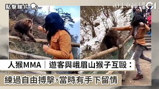 人猴MMA｜遊客與峨眉山猴子互毆 ：練過自由搏擊，當時有手下留情｜01中國｜大國小事｜猴子