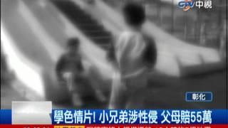 中視新聞》模仿色情片闖禍 小兄弟性侵7歲女童