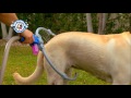 woof washer from jml