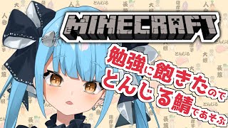 【Minecraft】おーるまいくら！いぇーい【迷子系Vtuber🌟🐬せうめーあ】