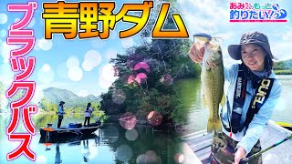 真夏の青野ダムでバスフィッシング!in兵庫|あみちゃんのもっと釣りたい!第218話（1457）