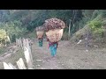 organic nepali himalayan village life in nepal most peaceful and relaxing village life real life