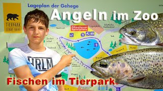 Forellenangeln - Angeln im Zoo | Fischen im Tierpark auf Forellen \u0026 Saibling | Catch \u0026 Cook