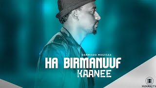 Damissoo Moosisaa - Ha Birmannuuf Kaanee - Ethiopian Oromo Music 2021 [Official Video]