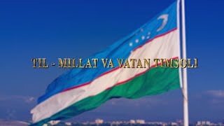 TIL — MILLAT VA VATAN TIMSOLI