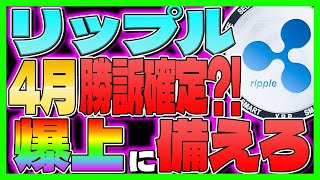 【リップル(XRP)】100円間近！ SEC裁判来月決着？！さらなる爆上げに備えろ【仮想通貨】【最新情報】【柴犬コイン】【SHIB】