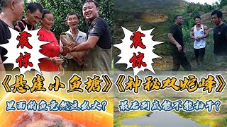 花2800元盘一口小鱼塘，没想到里面的鱼竟然这么大？｜花20000元带李维刚盘下深山老鱼塘，里面的水竟然抽不干？｜爷爷用600元鱼苗养了4年的鱼，最后到底能卖多少钱？