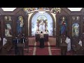 St. Mary & St. Mark Coptic Church Live Stream