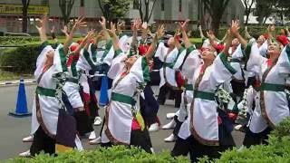 よさこい祭りIN光が丘 2016 所沢風炎祇神伝～雅～ さん