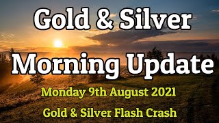 Monday Morning Gold \u0026 Silver Update \u0026 Forecast – Flash Crash