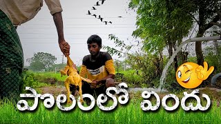 పొలంలో విందు | చికెన్ కూర వండుకుని తిన్నాం 😃