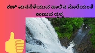 Gaganachukki and Barachukki Waterfalls