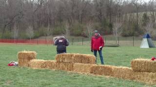 Impact du Chenil de Chasseur Level 1 National Champion
