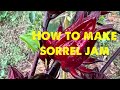 How to make sorrel (roselle) jam