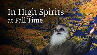 In High Spirits at Fall Time – Sadhguru Spot of 9 Nov 2018