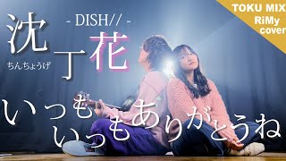 「いつもいつもありがとうね」DISH// - 沈丁花（ちんちょうげ）（Coverd by RiMy × TOKUMIX）