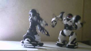 Two RoboSapiens Dancing!