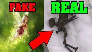 5 Real FAIRY Sightings (Caught on Camera!) Unexplained Paranormal Videos