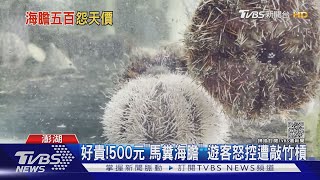 好貴!500元「馬糞海膽」 遊客怒控遭敲竹槓｜TVBS新聞