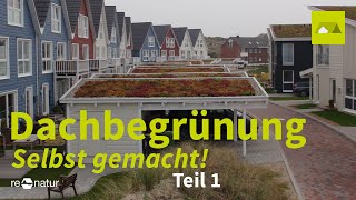 Gründach für Carport, Anbau oder Gartenhäuschen: Wie geht das?