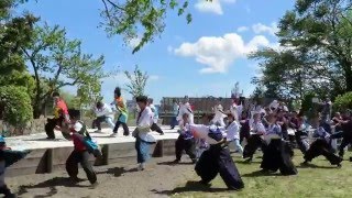 磐城平城本丸跡地　お城山よさこい　全体よさこい1