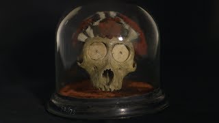 India Unboxed: Headhunter’s Monkey Skull