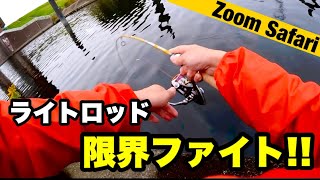 【怪魚】荒川温排水ライトロッド限界バトル！Zoom Safari605Lでハクレン