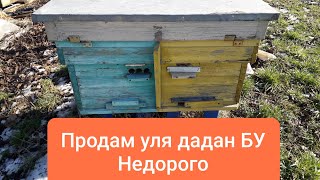 Продам улики БУ  Дадан недорого