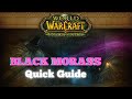 BLACK MORASS - QUICK Notable Trash and Boss Guide - The Burning Crusade Anniversary Caverns of Time