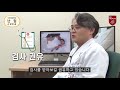 eng sub 건강정보 난임이란 무엇인가요 what is subfertility