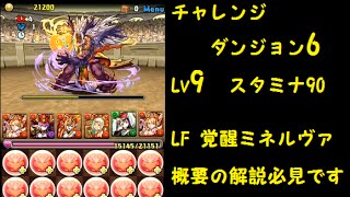 【パズドラ】 チャレンジダンジョン6  Lv9 LF 覚醒ミネルヴァ ノーコンクリア 概要に解説あり