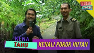 Kena Tahu: Kenali Pokok Hutan | Borak Kopitiam (3 Oktober 2020)