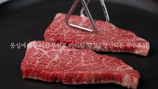 🌈등심의 숨은 보석! 반하누 한우 특수부위 '살치살'