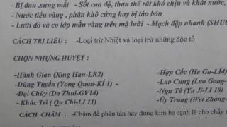 Bài Học Châm Cứu Và Mạh Lý - Bài 272 A