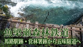 令和元年　魚梁瀬森林鉄道遺構を巡る⑪　馬路駅跡・営林署跡から五味隧道へ