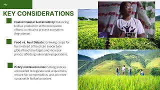 Part 2: Biofuel Production, Land Use Change, and Access to Land: An Overview