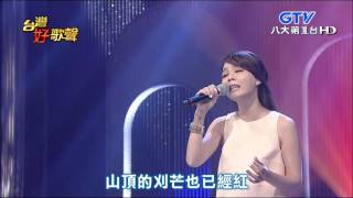 2015.07.04 【台灣好歌聲】孫淑媚-春夏秋冬