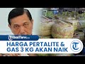 Luhut Isyaratkan Harga Pertalite & Gas 3 Kg Juga akan Naik, Kenaikan akan Dilakukan secara Bertahap