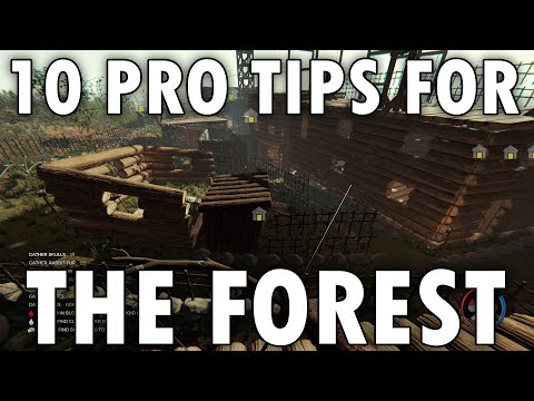 10 Pro Tips for the Forest Survival Game Guide