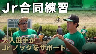 ジュニアと合同練習で大人選手がノックをサポート